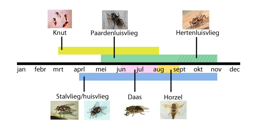 Kalender vliegen types